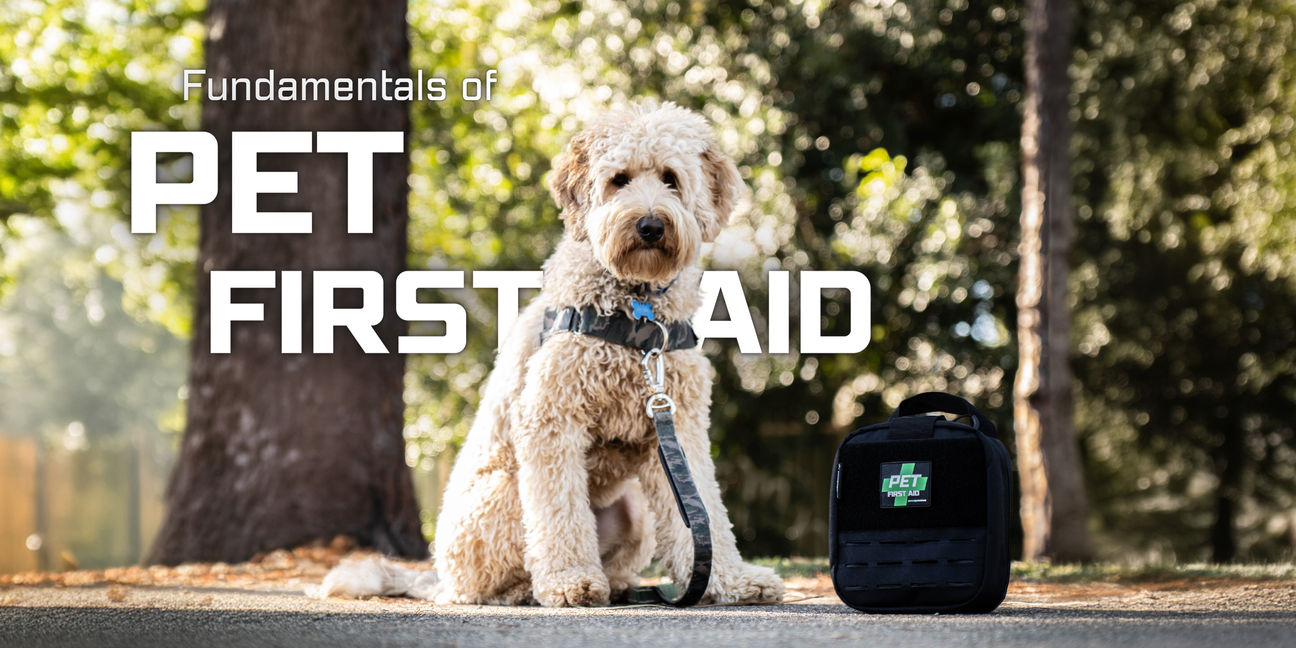 Dog First Aid Kit